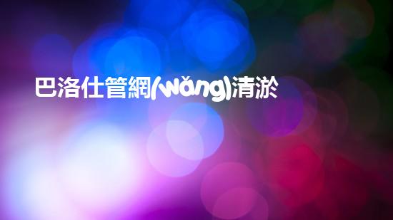 巴洛仕管網(wǎng)清淤設(shè)備，高效清潔，守護(hù)都市水環(huán)境